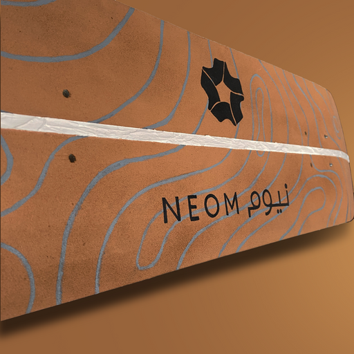Skateboard Wall Art, "Neom" Hand-Painted Wall Decors - wboxgo.com
