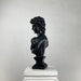 David 'F*** the Nice Things' Pop Art Sculpture, Modern Home Decor, Large Sculpture - wboxgo.com