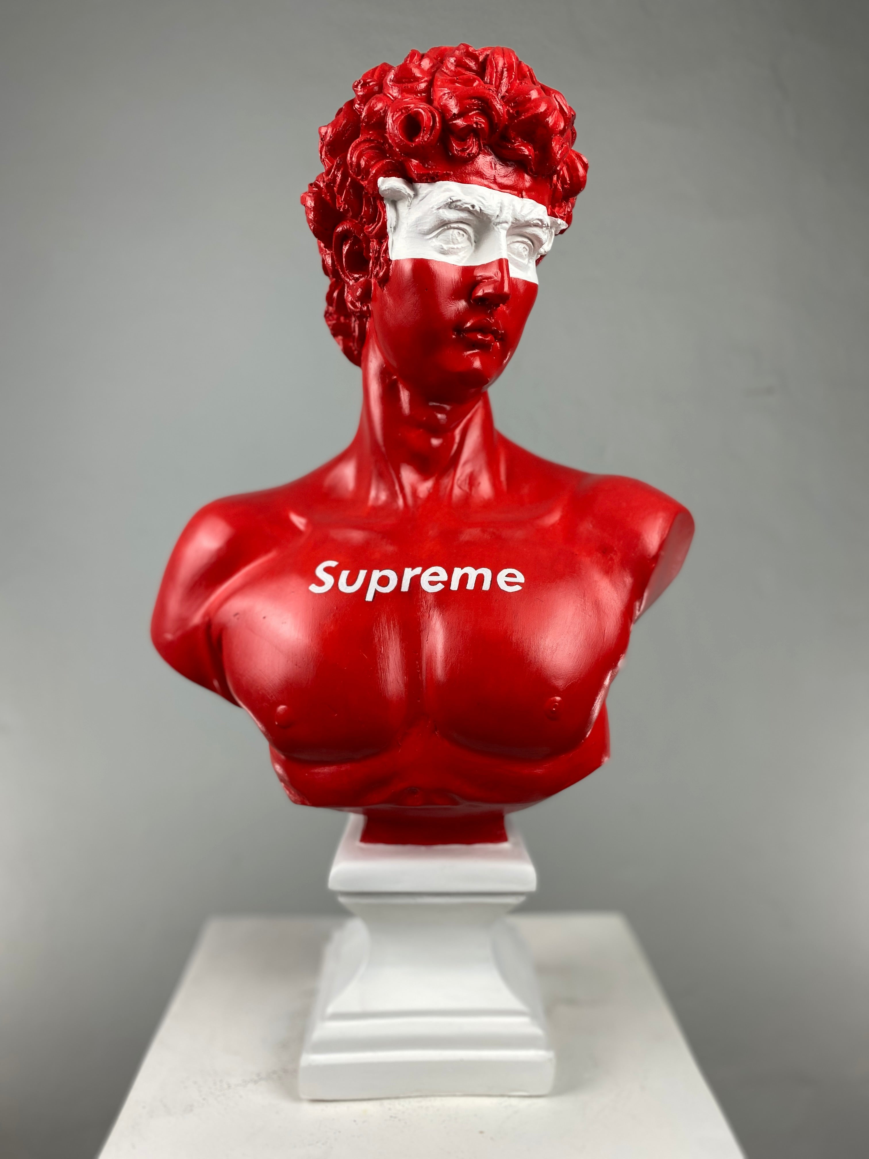 David 'Supreme' Pop Art Sculpture, Modern Home Decor, Large Sculpture - wboxgo.com