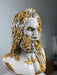 Zeus 'Antique Gold' Pop Art Sculpture, Modern Home Decor - wboxgo.com