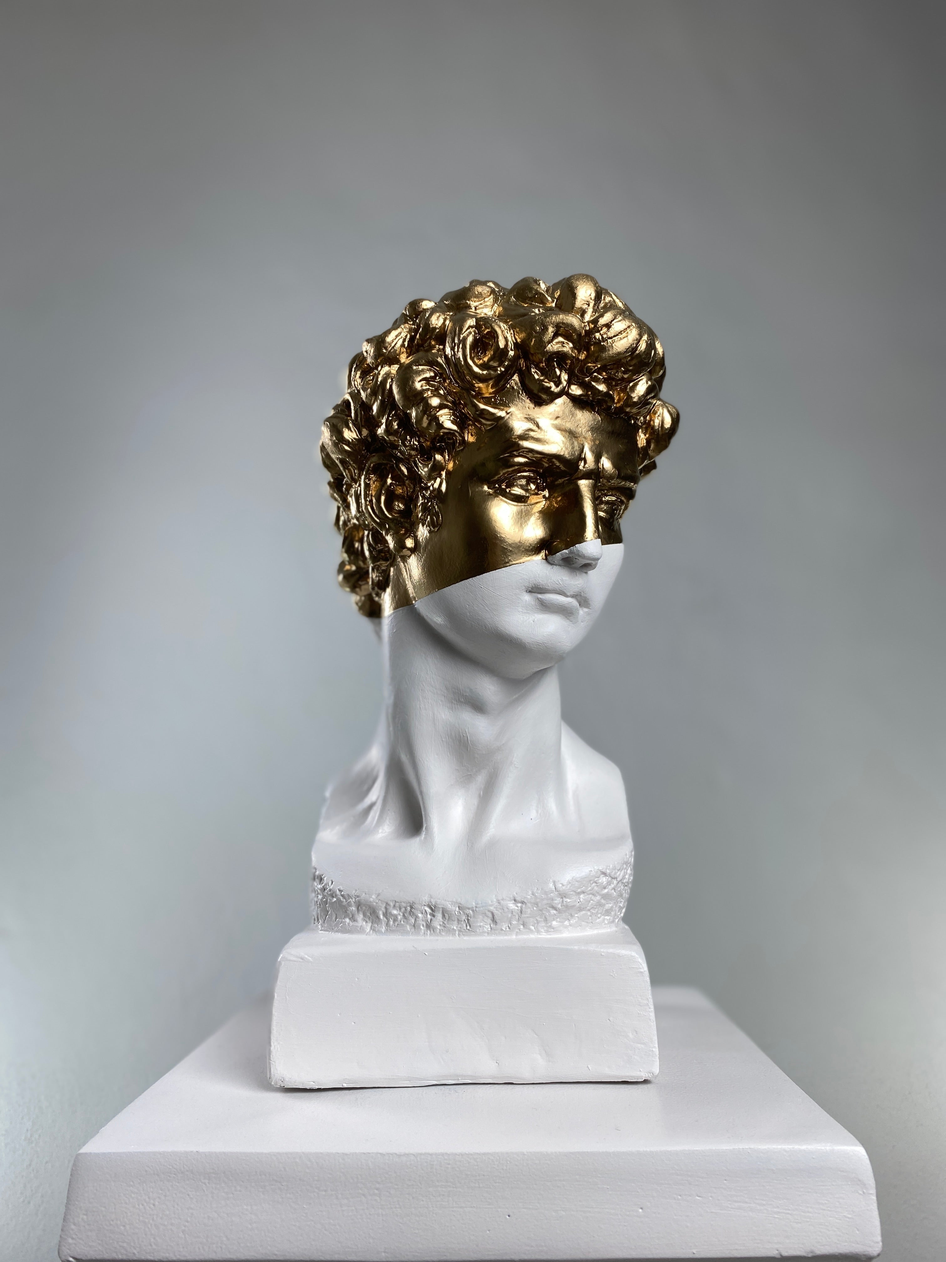 David 'Gold Crown' Pop Art Sculpture, Modern Home Decor - wboxgo.com