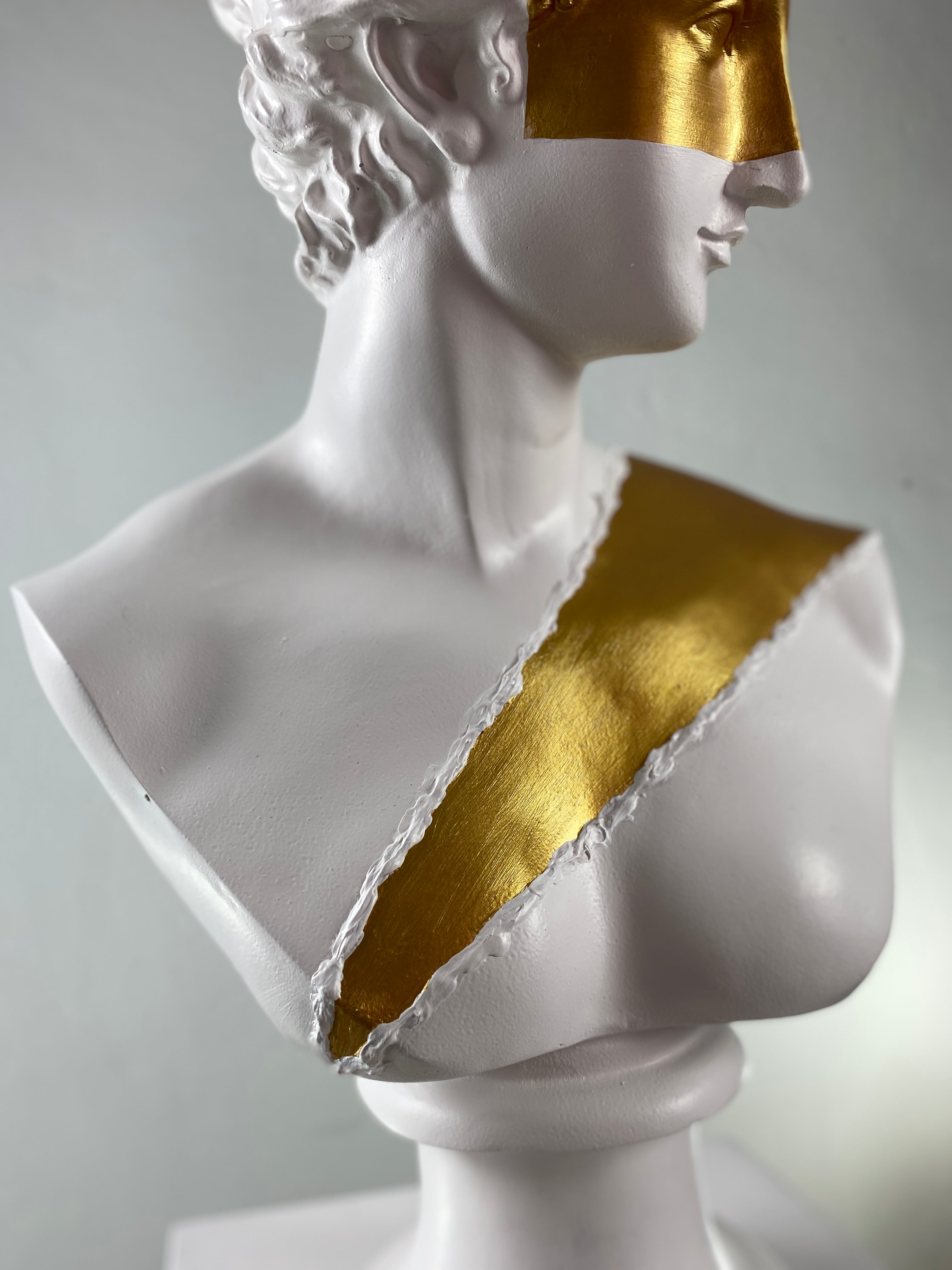 Diana 'Gold Mask and Belt' Pop Art Sculpture, Modern Home Decor - wboxgo.com