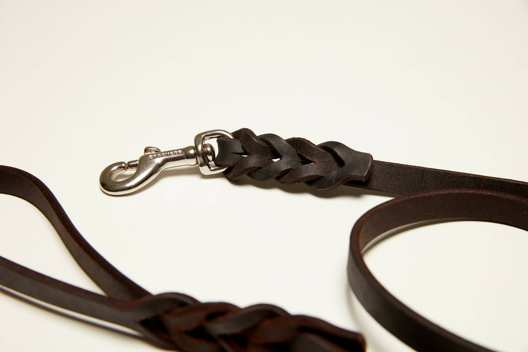 Professional Leather Dog Training Leash with Sprenger Hook - wboxgo.com